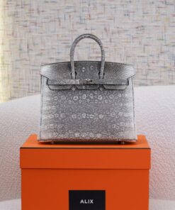 HERMES BIRKIN – 25 – OMBRE – LIZARD – PHW