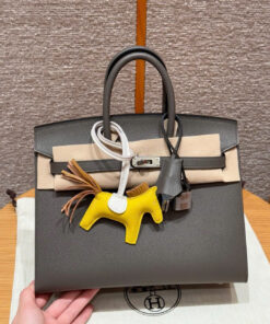 HERMES BIRKIN - 25 - ETAIN - EPSOM - PHW