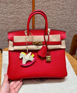 HERMES BIRKIN - 25 - ROUGE CASAQUE & ROUGE H - TOGO - GHW