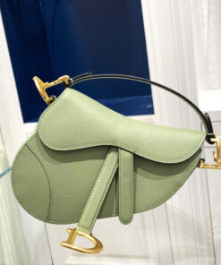 DIOR SADDLE - MINI - GREEN - GRAINED CALFSKIN - GOLD